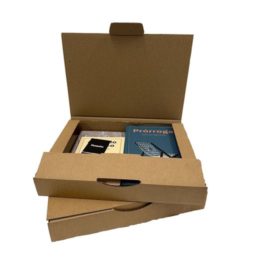 Imagen de Mystery Box Panenka